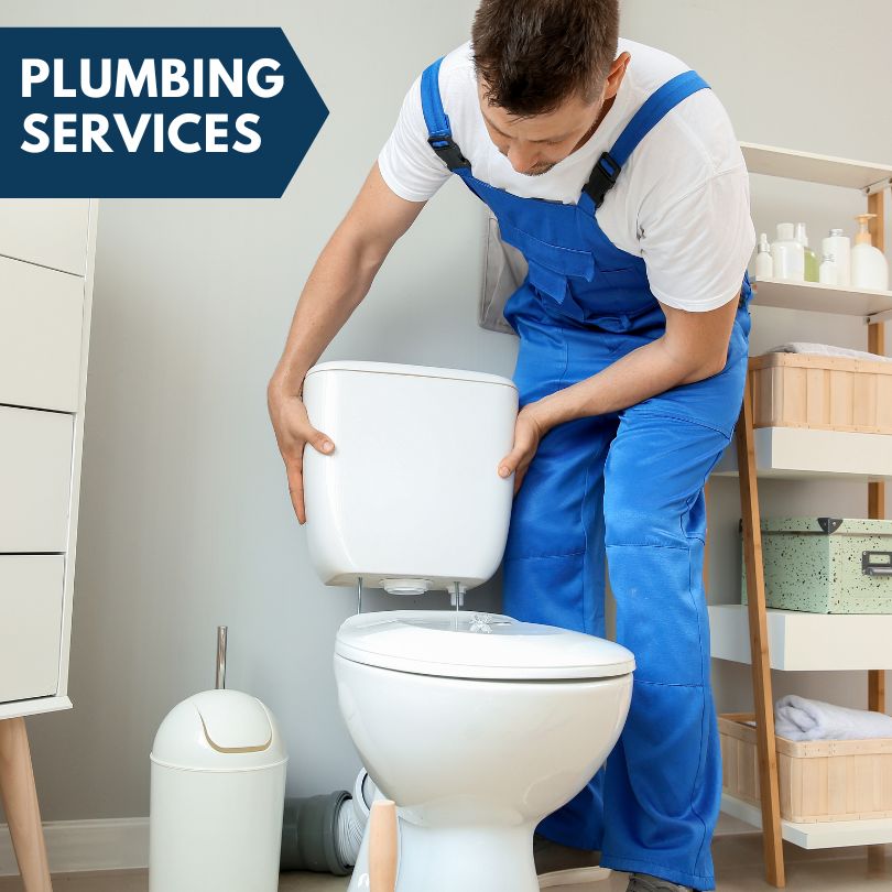Plumbing Company in Pierre Part, LA